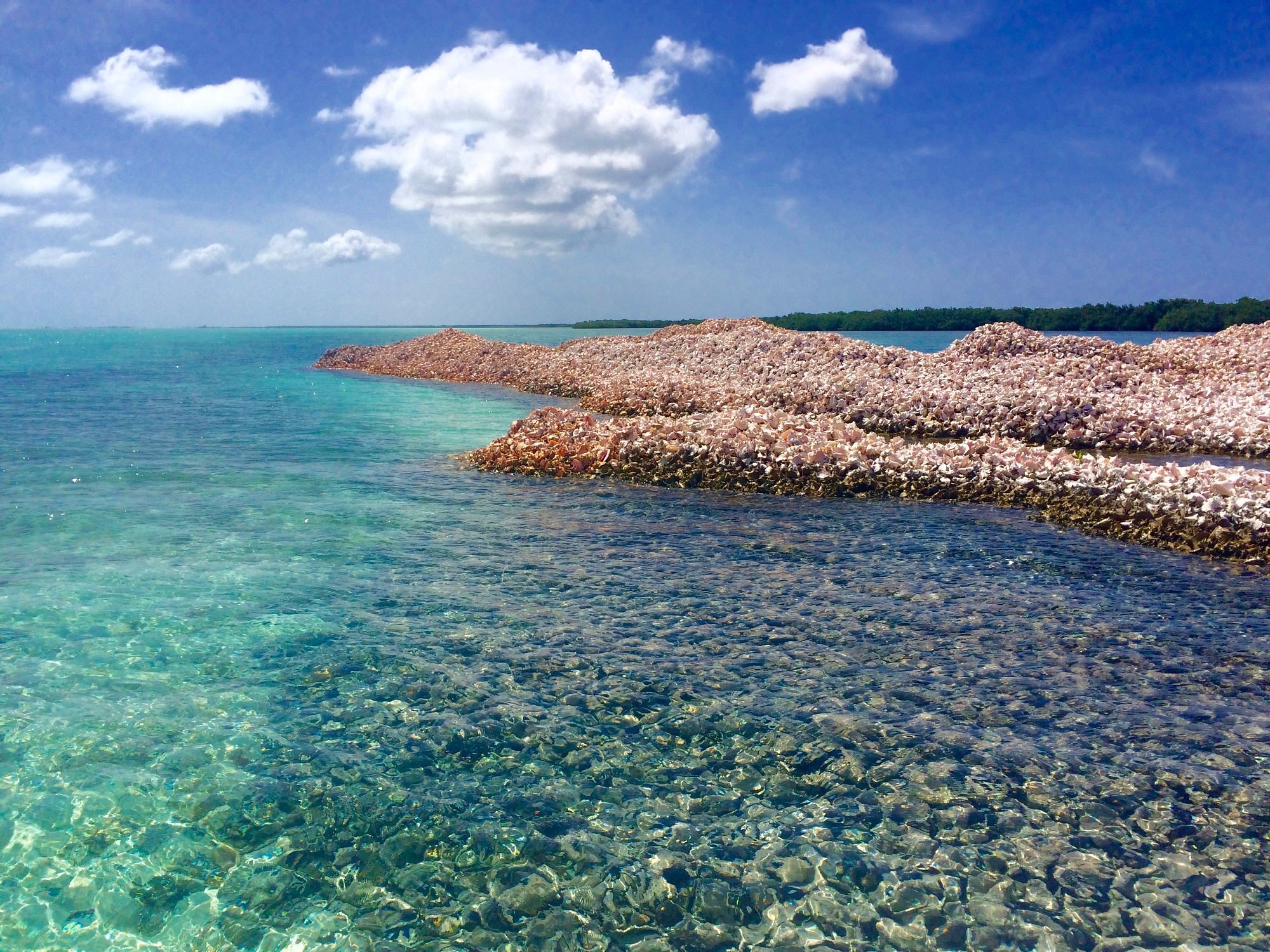 conch-islands-anegada